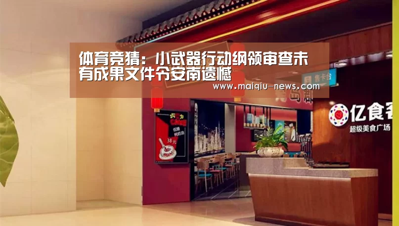 体育竞猜:小武器行动纲领审查未有成果文件令安南遗憾(图1) 体育竞猜