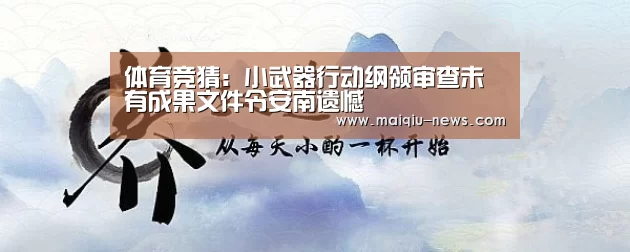 体育竞猜:小武器行动纲领审查未有成果文件令安南遗憾(图3) 在线投注